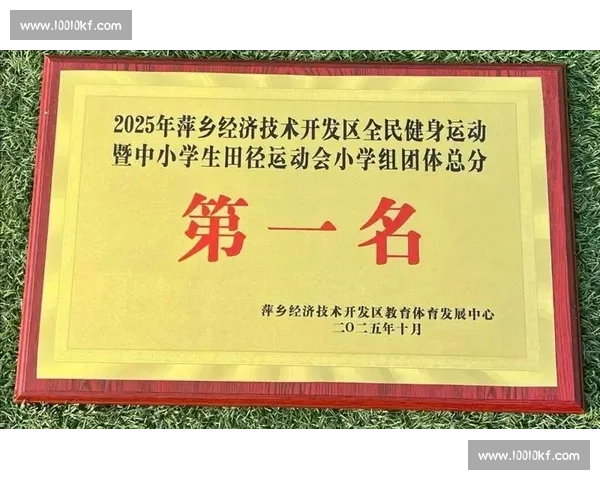 竞技体育引领时代发展激发全民拼搏精神与国家荣誉感和体育文化自信